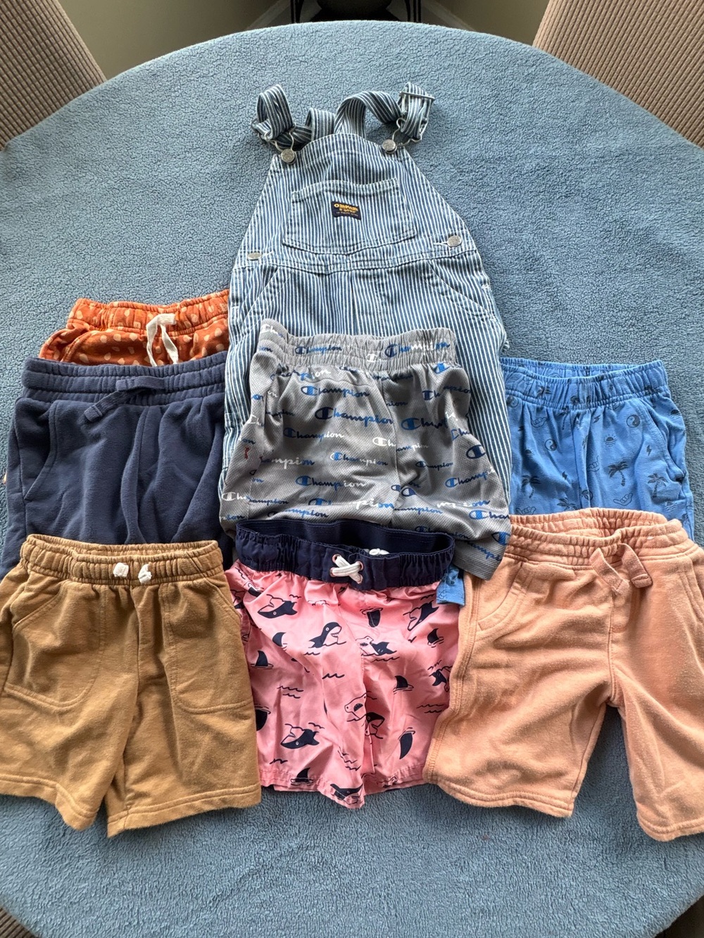 Boys 4T Summer Bundle OshKosh Overalls Champion Cat & Jack Shorts Swim Trunks